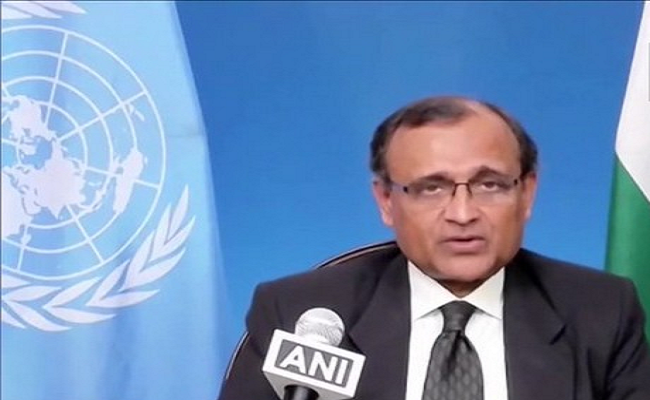 यूएनजीए  में भारत के स्थाई प्रतिनिधि का बयान, भारत विकासशील देशों की आवाज है