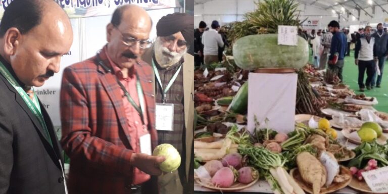 अंतर्राष्ट्रीय मसाला एवं सब्जी महोत्सव: पहाड़ी मसालों की खुशबू से महका ऋषिकेश का मुनिकीरेती, सुबोध उनियाल ने किया शुभारंभ