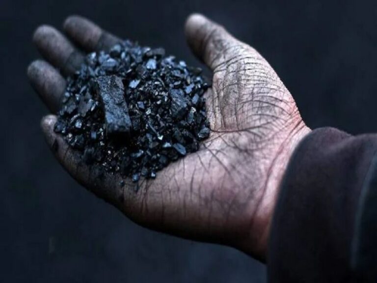 दिल्ली-एनसीआर: अब कोयला और लकड़ी जलाने पर लगेगा प्रतिबंध