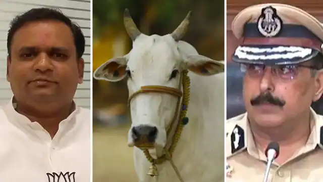 महाराष्ट्र: बकरीद के दिन न कटे एक भी गाय- स्पीकर राहुल नार्वेकर का DGP को निर्देश