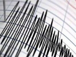 पाकिस्तान के पेशावर में 4.7 तीव्रता का भूकंप, हिंदूकुश में था केंद्र; अब तक किसी नुकसान की खबर नहीं