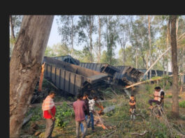 झारखंड के साहेबगंज में NTPC मालगाड़ियों की टक्कर में दो चालक की मौत, चार घायल