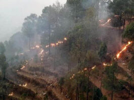 उत्तराखंड के जंगलों में आग का तांडव, अल्मोड़ा के वन्य क्षेत्र धधक उठे