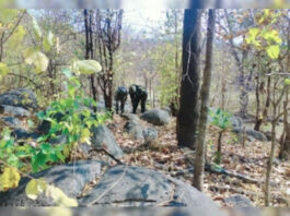 छत्तीसगढ़ में सुरक्षा बलों का बड़ा ऑपरेशन: 26 नक्सली ढेर, इनामी वसवराज भी ढेर