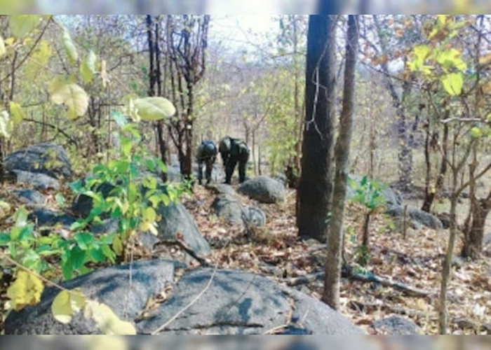 छत्तीसगढ़ में सुरक्षा बलों का बड़ा ऑपरेशन: 26 नक्सली ढेर, इनामी वसवराज भी ढेर