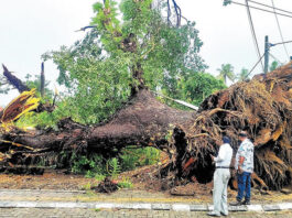 केरल में मूसलाधार बारिश का कहर: 11 जिलों में रेड अलर्ट, 10 जिलों में स्कूल बंद, सरकार अलर्ट मोड में