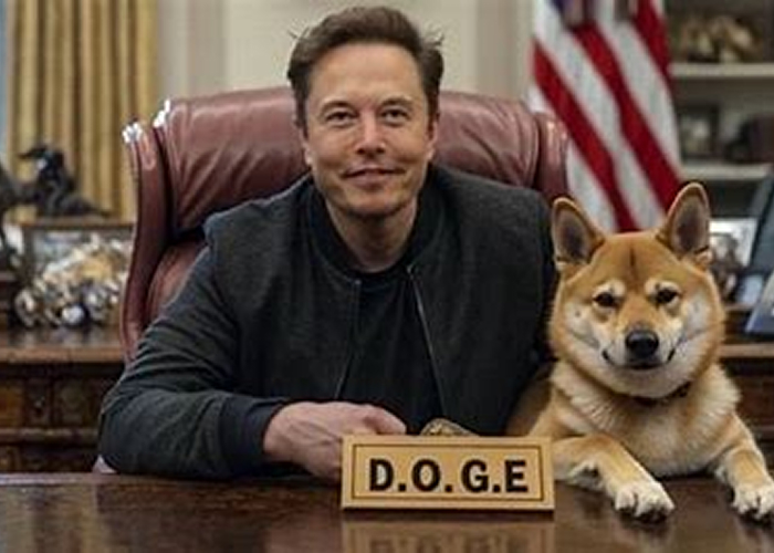 एलोन मस्क का DOGE से अचानक किनारा: क्या ट्रंप का 'वन बिग ब्यूटीफुल बिल' है असली वजह?
