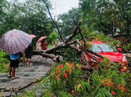 असम में मूसलाधार बारिश से तबाही, 5 की मौत; राज्य में रेड अलर्ट जारी