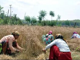 उत्तराखंड में जमीन खरीद पर सख्ती: राज्यपाल की मंजूरी के बाद नया कानून लागू