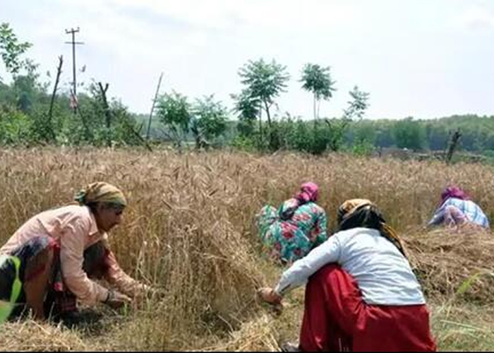 उत्तराखंड में जमीन खरीद पर सख्ती: राज्यपाल की मंजूरी के बाद नया कानून लागू