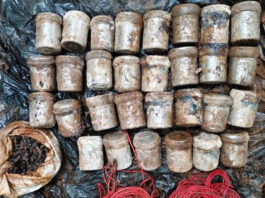 झारखंड में नक्सलियों की बड़ी साजिश नाकाम, जंगल से 30 IED बरामद कर सुरक्षाबलों ने बचाई सैकड़ों जान