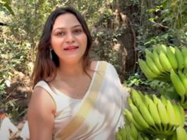 केरल सरकार ने 'पाक जासूस' ज्योति मल्होत्रा को पर्यटन इन्फ्लुएंसर बनाकर किया आमंत्रित, RTI से खुलासा