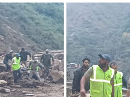 मध्यप्रदेश के अगरापानी घाट में दर्दनाक हादसा: खाई में गिरा ट्रक, 4 लोगों की मौके पर मौत