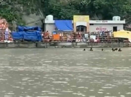 हरिद्वार में बड़ा हादसा टला: गंगा में डूबते चार कांवड़ यात्रियों को SDRF ने दिखाया दम, समय रहते बचाई जान