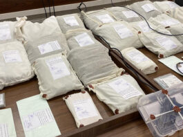 भारत-नेपाल सीमा पर ₹10 करोड़ की MDMA ड्रग्स के साथ महिला गिरफ्तार, उत्तराखंड पुलिस की अब तक की सबसे बड़ी बरामदगी