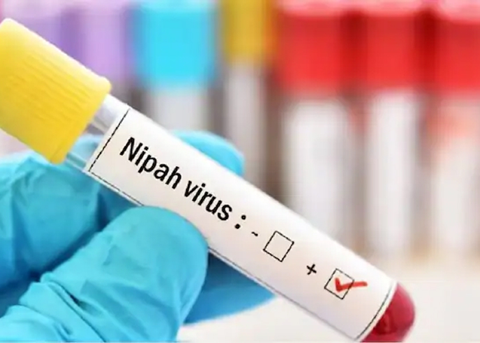 केरल में निपाह से दूसरी मौत के बाद हाई अलर्ट, 6 जिले सतर्क, 675 संपर्कों की पहचान