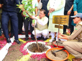 हरेला पर्व पर उत्तराखंड ने रचा इतिहास: एक ही दिन में लगाए 8.13 लाख पौधे