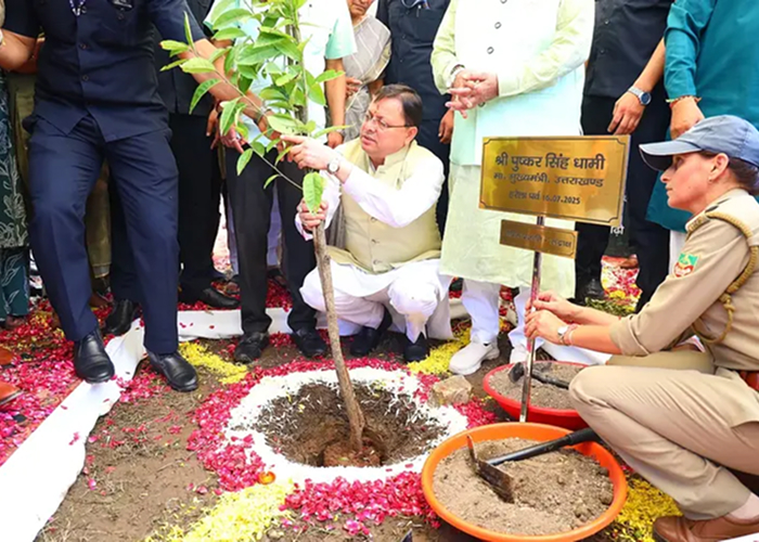 हरेला पर्व पर उत्तराखंड ने रचा इतिहास: एक ही दिन में लगाए 8.13 लाख पौधे