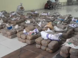 1,142 किग्रा गांजा तस्करी करते पकड़े गए चार आरोपी, आंध्र पुलिस की बड़ी कार्रवाई
