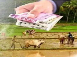 PM-Kisan योजना की 20वीं किस्त 2 अगस्त को जारी: किसानों के खातों में आएंगे ₹2000
