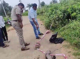 कर्नाटक में खौफनाक वारदात: महिला का सिर और शरीर के टुकड़े 10 जगहों से बरामद, इलाके में सनसनी