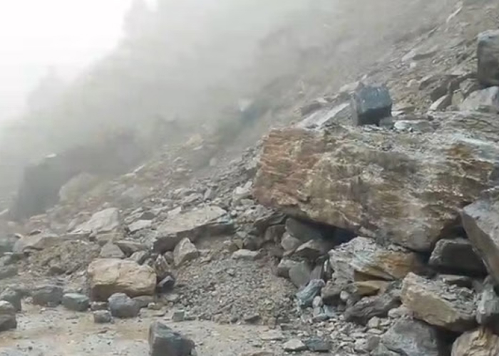 बदरीनाथ हाईवे पर भूस्खलन का कहर: गोपेश्वर में पहाड़ी से गिरा भारी मलबा और पत्थर, यातायात हुआ ठप