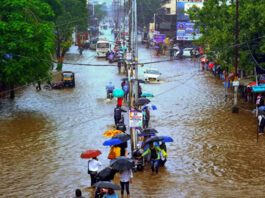 महाराष्ट्र में कहर बनकर बरसी बारिश: 4 दिन में 21 मौतें, रेड अलर्ट जारी