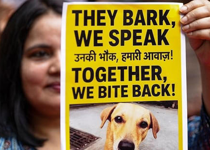 सुप्रीम कोर्ट में आज बड़ा फैसला: आवारा कुत्तों के स्थानांतरण के खिलाफ याचिकाओं पर जल्द सुनवाई