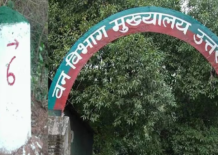 मसूरी वन घोटाला: 7,375 बाउंड्री पिलर गायब, IFS अधिकारी पर जांच की तलवार