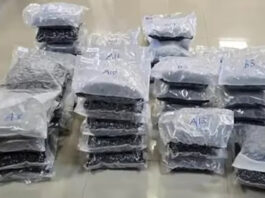 राजधानी ट्रेन से ₹72 करोड़ की ड्रग तस्करी का भंडाफोड़, DRI ने 72 किलो हाइड्रोपोनिक वीड बरामद