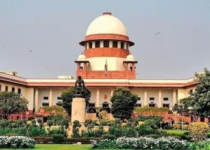 सुप्रीम कोर्ट ने केंद्र को निर्देश दिया: NBDA से परामर्श कर इन्फ्लुएंसर्स के लिए दिशा-निर्देश तैयार करें