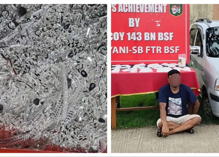 बीएसएफ ने बांग्लादेश तस्करी प्रयास नाकाम किया, 27 लाख रुपये मूल्य की चांदी के साथ आरोपी गिरफ्तार