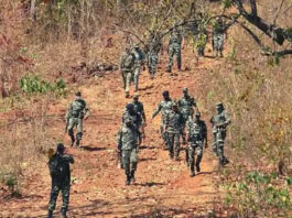 जापुर में बड़ा खुलासा: 30 नक्सली आत्मसमर्पण, राज्य सरकार ने शुरू किया पुनर्वास अभियान