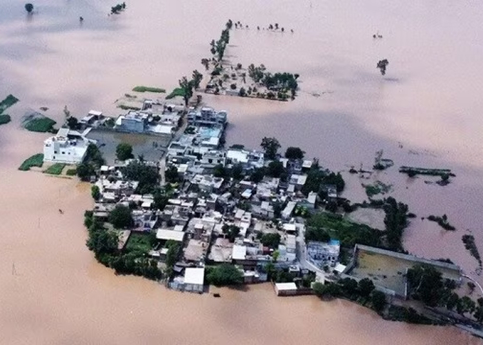 पंजाब में बाढ़ का कहर: 37 की मौत, 7 सितम्बर तक स्कूल बंद, लाखों लोग प्रभावित