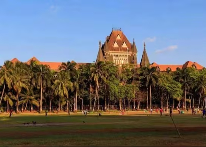 सत्कर्म संस्था पर प्रतिबंध की याचिका हाईकोर्ट के सवालों के बाद वापस, अधिवक्ताओं ने आगे बढ़ाने से परहेज़ किया
