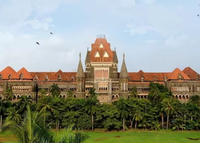 उच्च न्यायालय ने शादी के लिए जमानत देने वाले अभियुक्त की ट्रायल कोर्ट की जमानत रद्द की